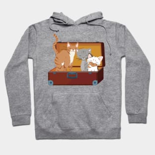 Cats in Vintage Suitcase Hoodie